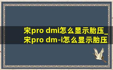 宋pro dmi怎么显示胎压_宋pro dm-i怎么显示胎压监测